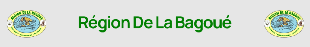 Région De La Bagoué
